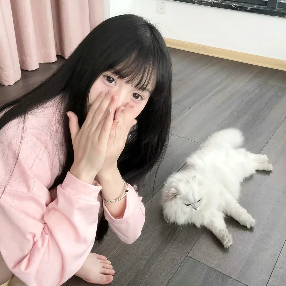 红壳的潘多拉剧场版